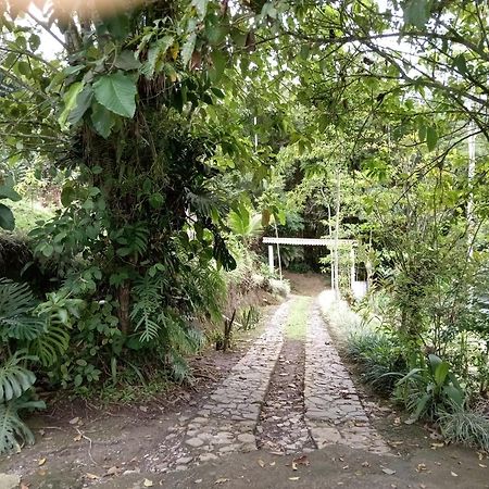 Hotel Green Mountain טוריאלבה מראה חיצוני תמונה