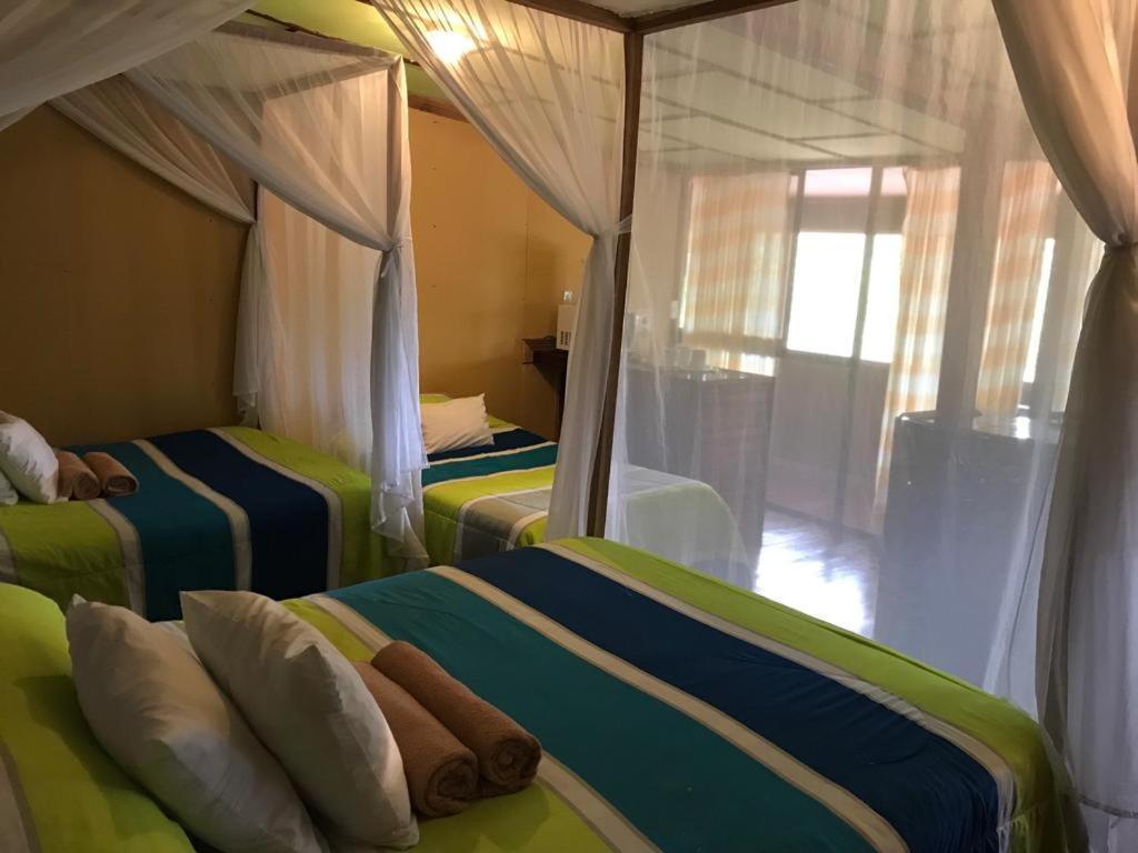 Hotel Green Mountain טוריאלבה מראה חיצוני תמונה
