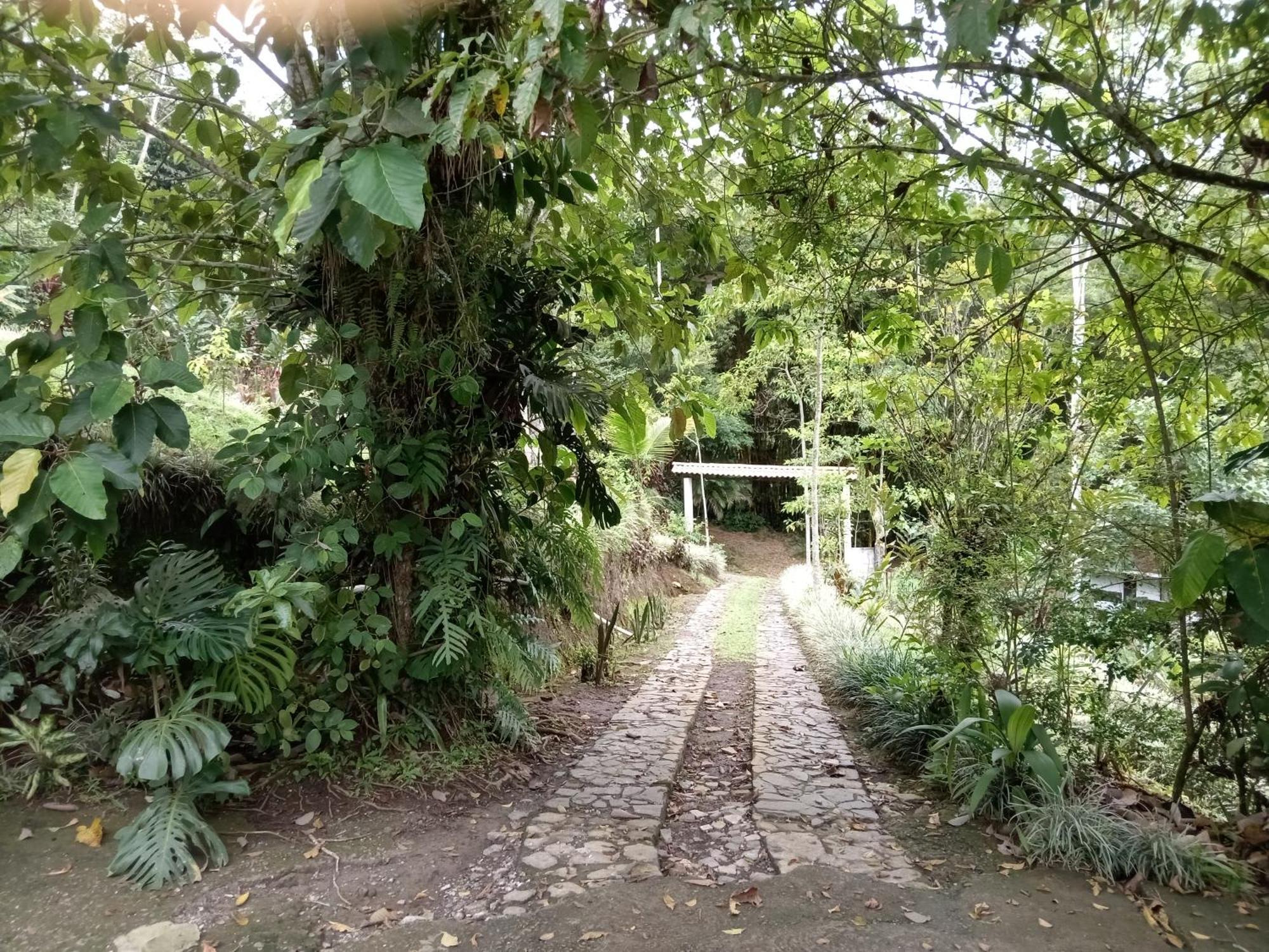 Hotel Green Mountain טוריאלבה מראה חיצוני תמונה
