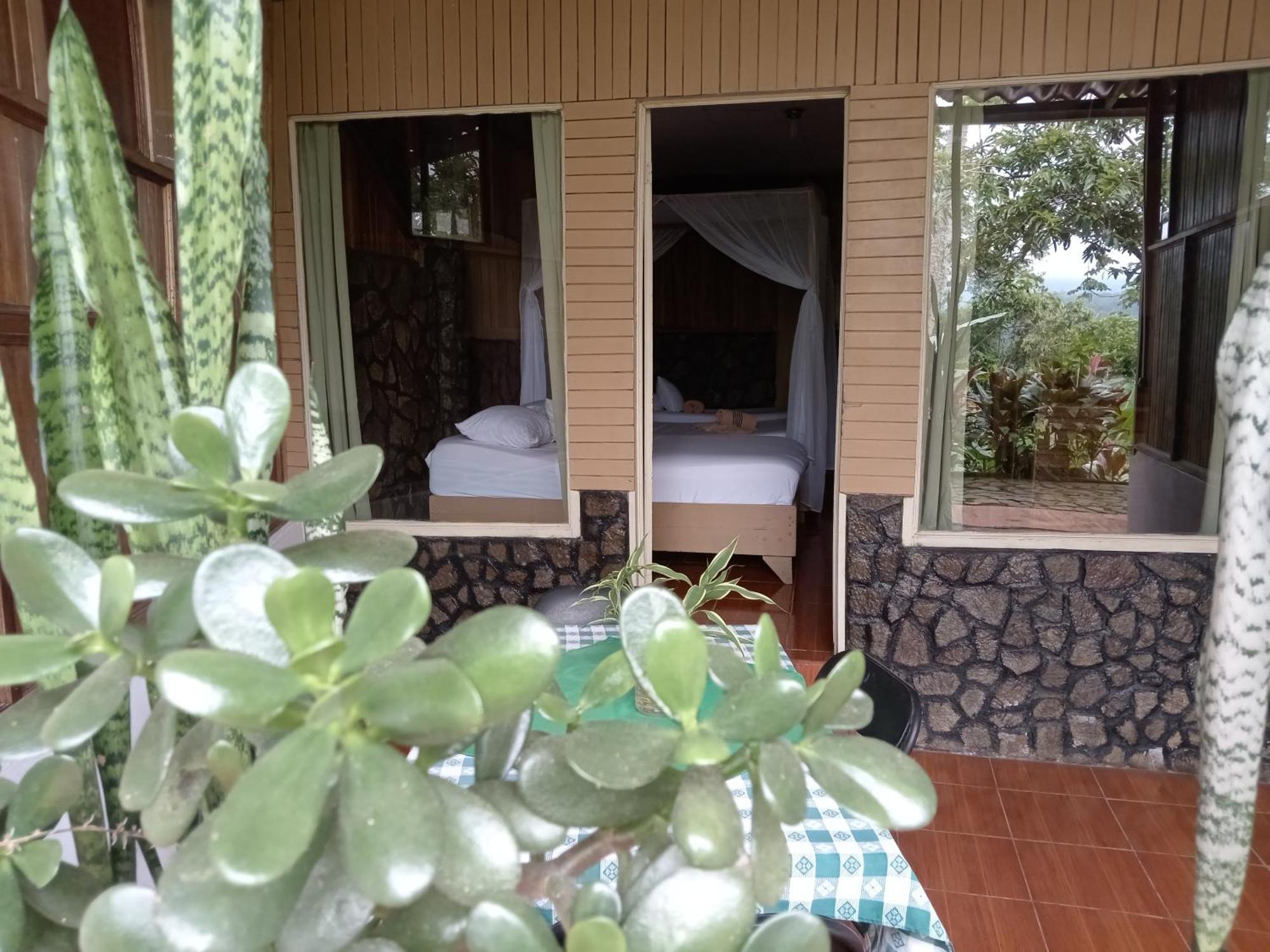 Hotel Green Mountain טוריאלבה מראה חיצוני תמונה