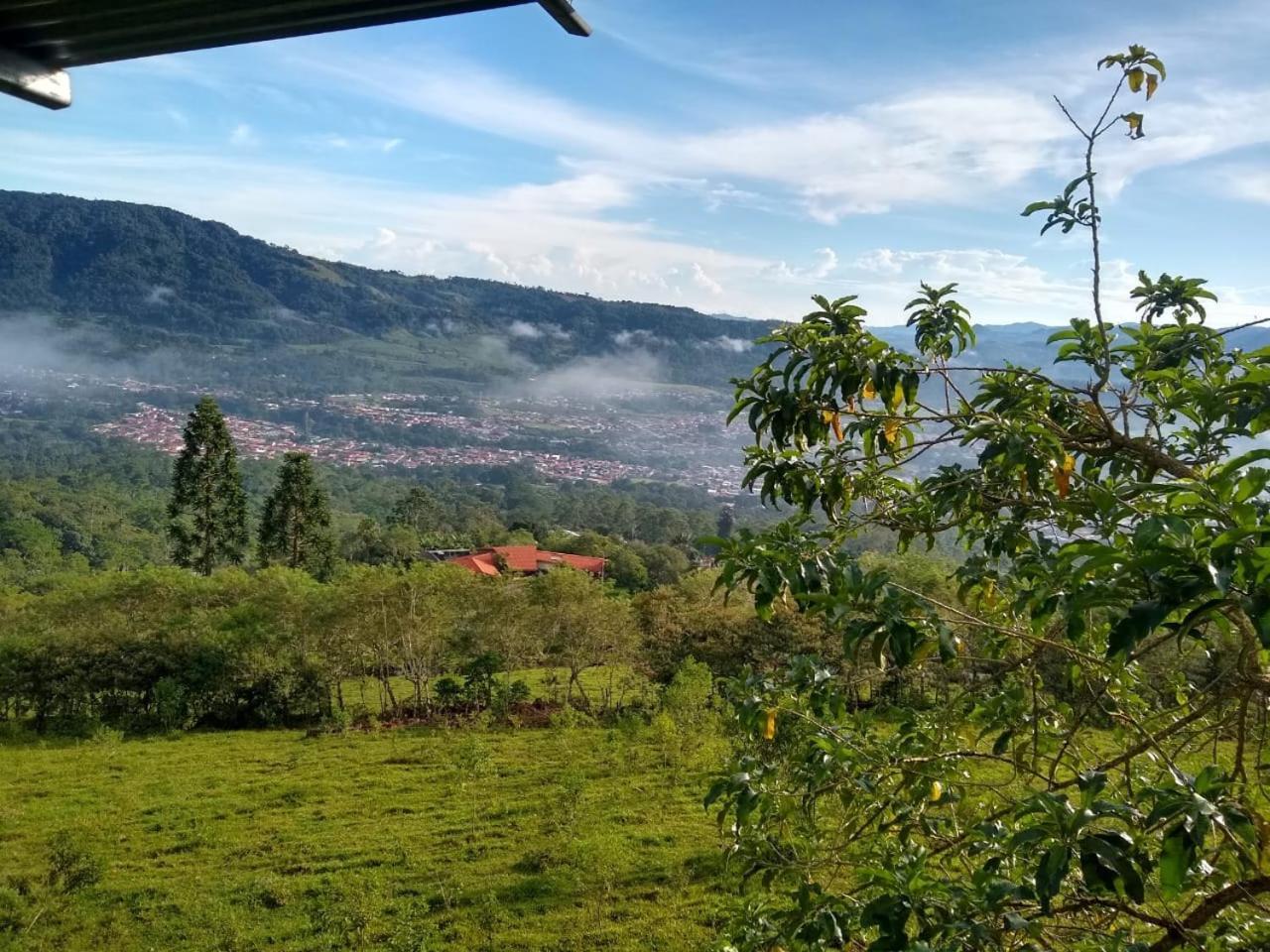Hotel Green Mountain טוריאלבה מראה חיצוני תמונה